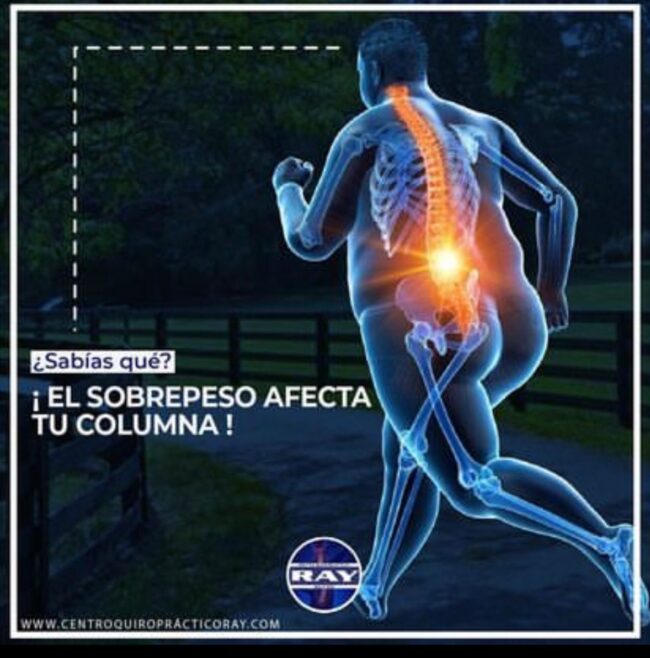 WhatsApp Image 2022-12-14 at 14.05.09 (2)